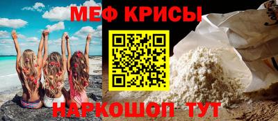 крисы Кингисепп