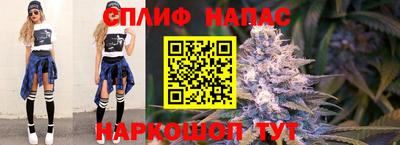 крисы Кингисепп