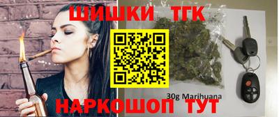 крисы Кингисепп