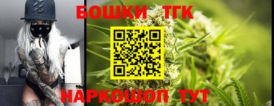 крисы Кингисепп