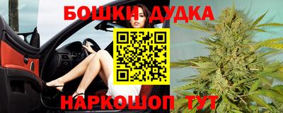 крисы Кингисепп