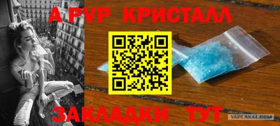 крисы Кингисепп