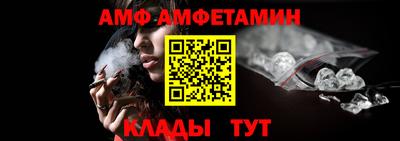крисы Кингисепп