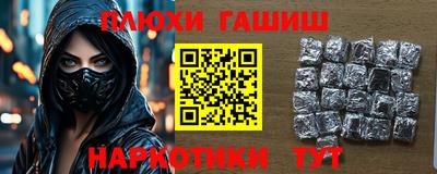 крисы Кингисепп