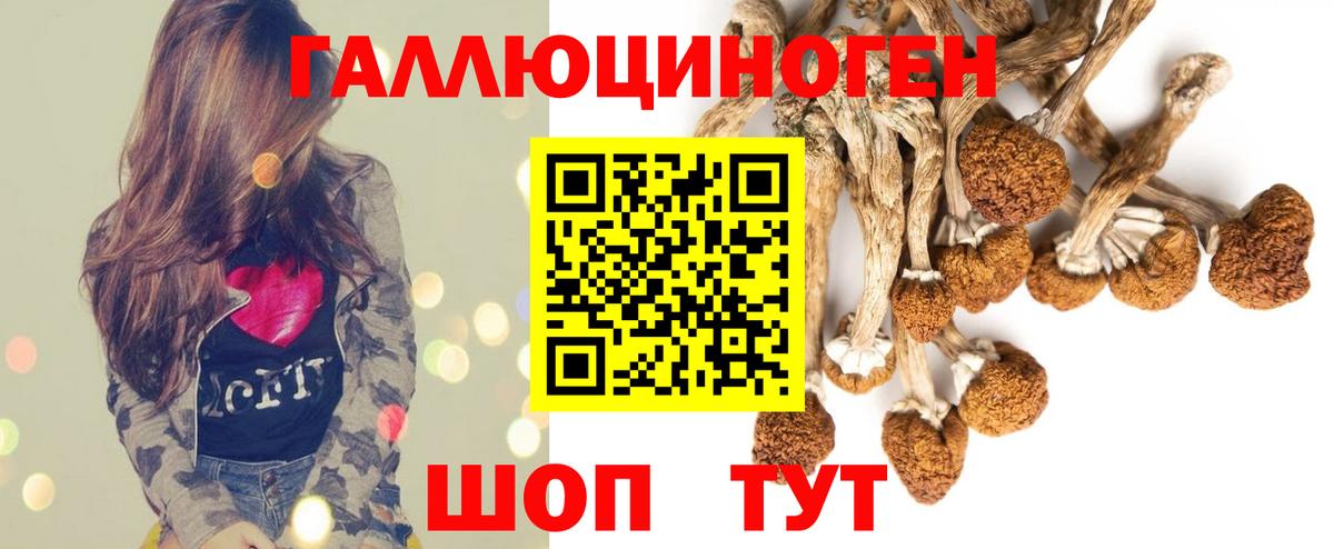 купить   Галлюциногенные грибы Psilocybe  Вход с VPN  Псилоцибиновые грибы прущие грибы  Комсомольск-на-Амуре 